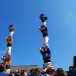 p4_retocat