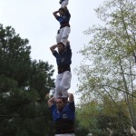 p5_retocat1