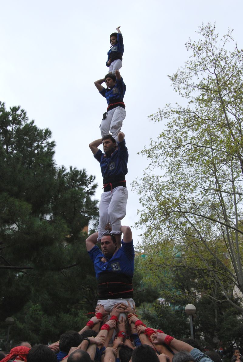 p5_retocat1