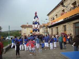 mollo-115